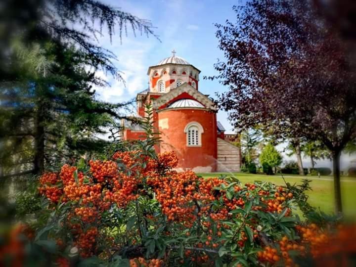 Kuca Za Odmor Zicanka Kraljevo Exterior photo