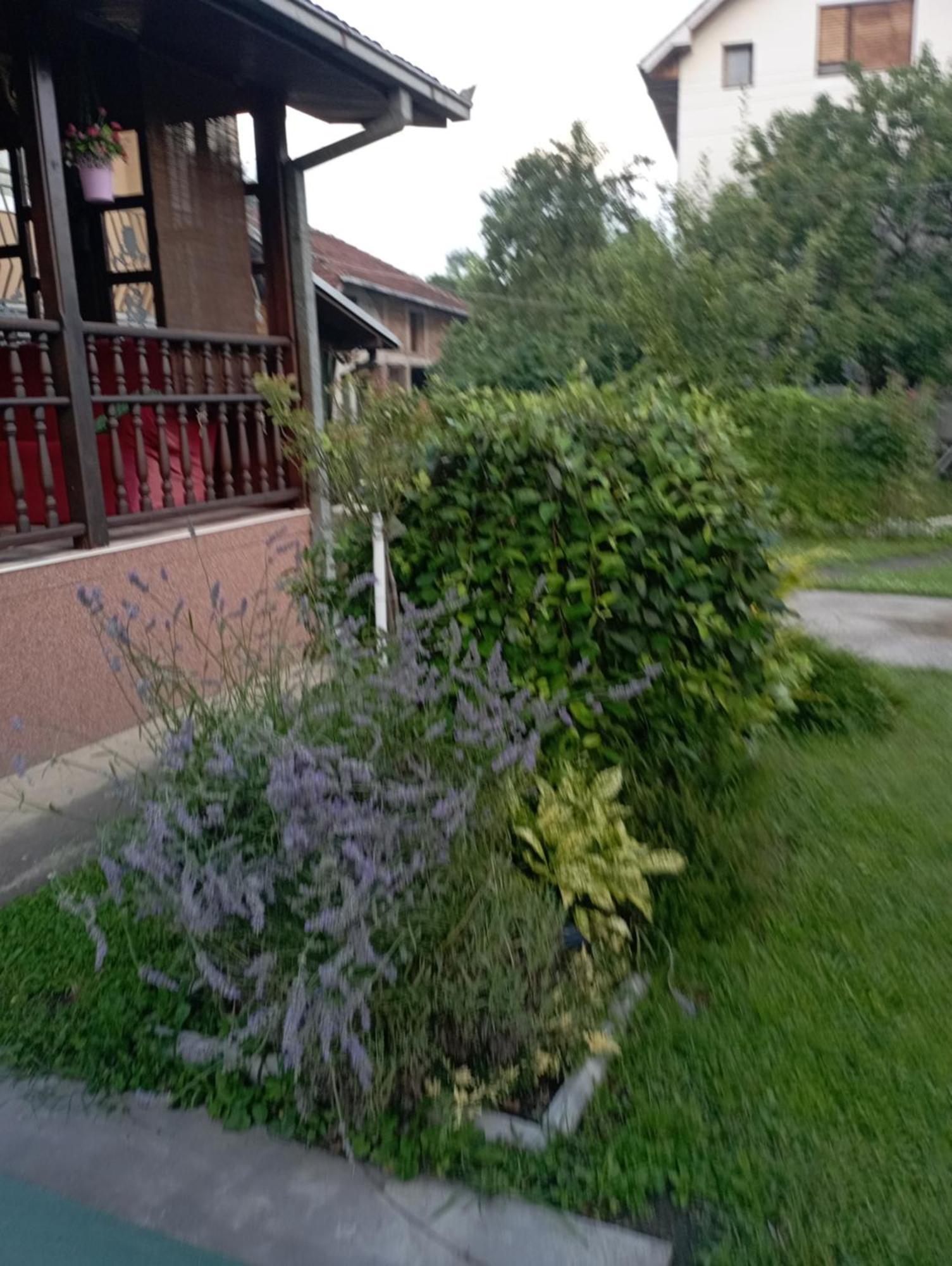 Kuca Za Odmor Zicanka Kraljevo Exterior photo